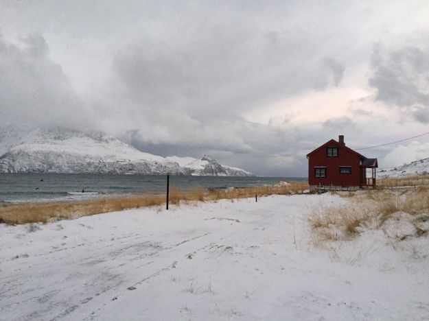 Decorative photograph showing a small red house in the snow next to a fjord.