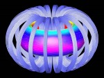 Schematic representation of plasma flux in a fusion reactor