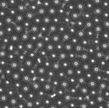 Decorative image of 10 micron spheres in nanoscope