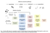 An exemplar adverse outcome pathway for microplastics in aquatic species